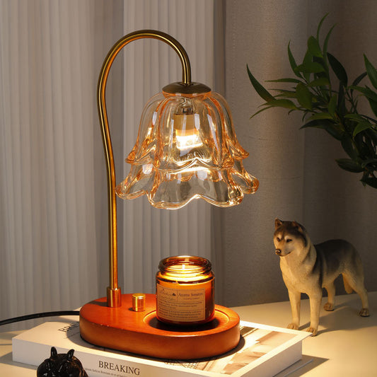 Home Decor Fire-Free Fragrance Table Lamp
